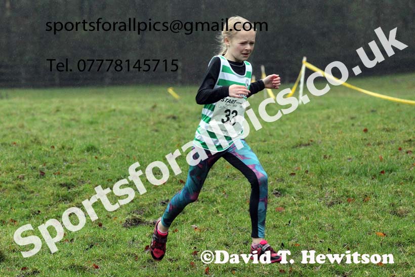 Girls under-13s, NECAA Junior Cross Country Relays, Thornley Farm, Peterlee, Saturday, December 12th. Photo: David T. Hewitson/Sports for All Pics